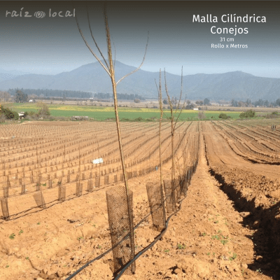 MALLA CILINDRICA CONEJOS 31 CM