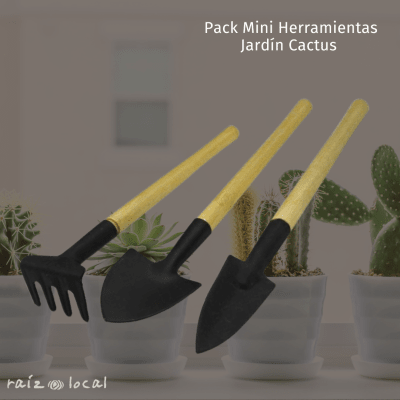 Pack Mini Herramientas Jardín Cactus - Kit Completo para Cuidado de Suculentas y Cactus