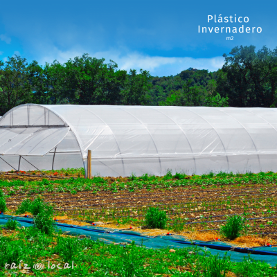 Plástico para Invernadero 200 Micras - Rollo de 4 Metros de Ancho