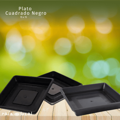 Plato Cuadrado Negro 15x15 - Complemento Perfecto para Macetas Cuadradas