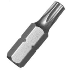 PUNTA TORX S2 DLG