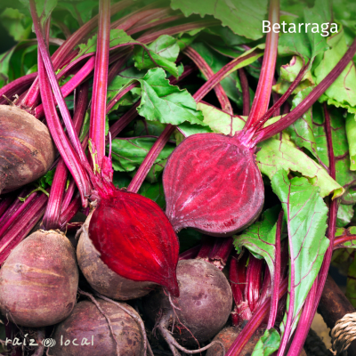 Semillas De Betarraga