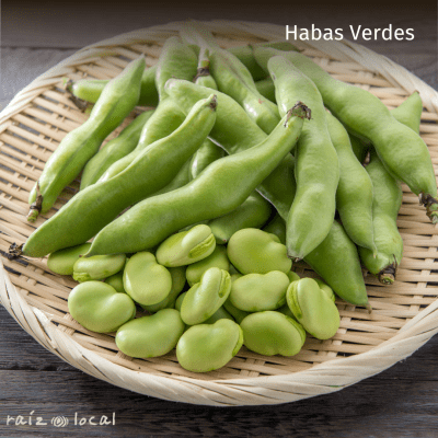 Semillas De Habas Verdes