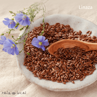 Semillas De Linaza