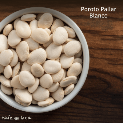 Semillas De Poroto Pallar Blanco