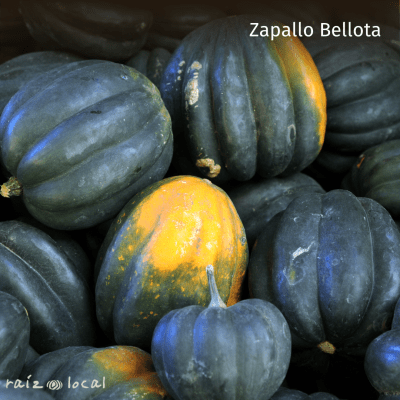 Semillas De Zapallo Bellota