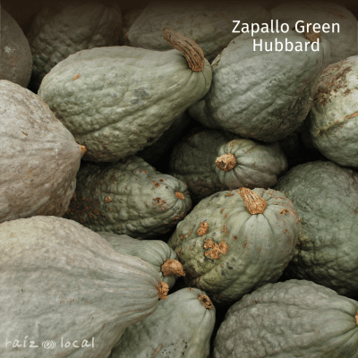 Semillas De Zapallo Green Hubbard
