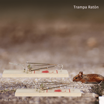 Trampa para Ratón de Madera y Metal - Eficiente y Reutilizable