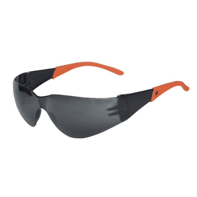 LENTE SEGURIDAD DAUMER L300 C/CORDON2