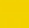 LATEX CONSTRUCTOR AMARILLO2