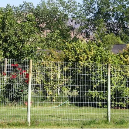 MALLA GALVANIZADA1