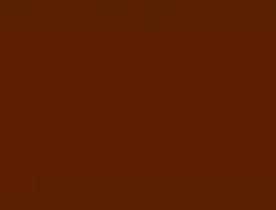 LATEX CONSTRUCTOR ROJO COLONIAL2