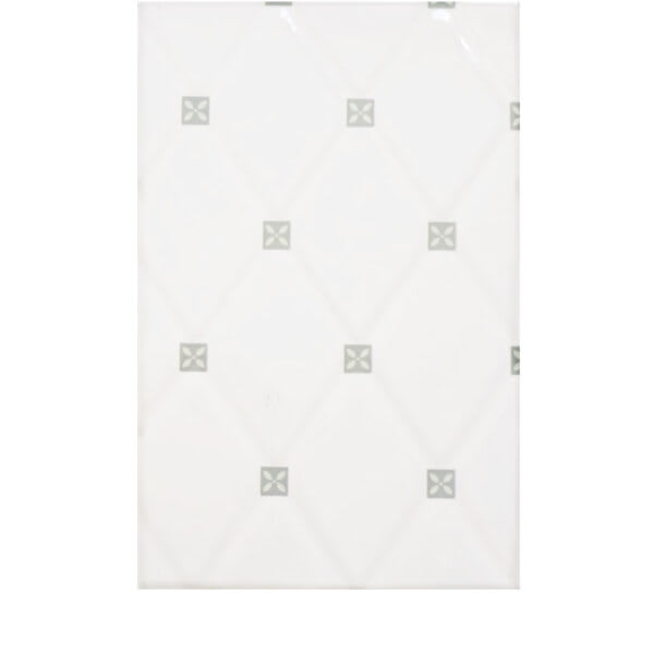 CERAMICA GEOS 20X30 1.5M29