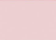 LATEX CONSTRUCTOR ROSA2