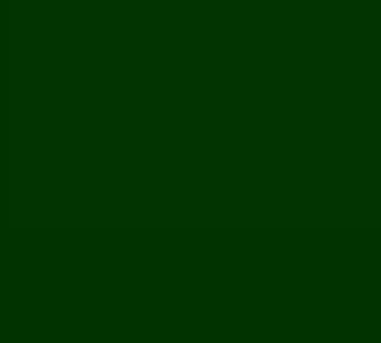 PINTURA MULTITECHO VERDE2
