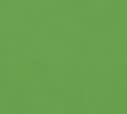 LATEX CONSTRUCTOR VERDE ALEGRE2