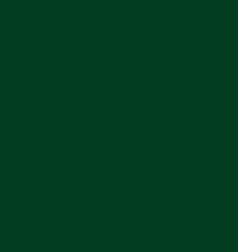 OLEO SINTETICO CONSTRUCTOR VERDE TREB2
