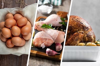 Pollos y Huevos