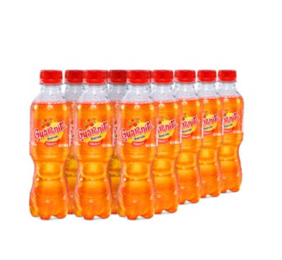 GUARANA 300 ml 15 UND
