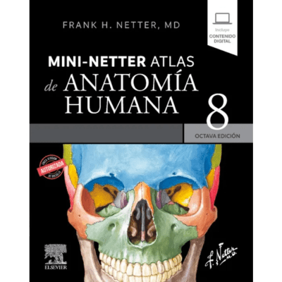 MINI-NETTER ATLAS DE ANATOMIA 8 EDICION-ELSEVIER