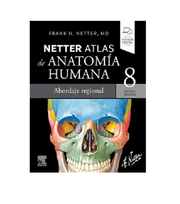 ATLAS DE ANATOMIA HUMANA 8 EDICION ABORDAJE REGIONAL- ELSEVIER