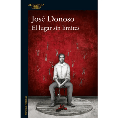 LUGAR SIN LIMITES,EL-ALFAGUARA1