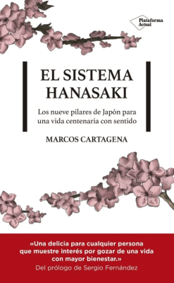 SISTEMA HANASAKI,EL-PLATAFORMA ACTUAL