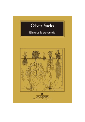 RIO DE LA CONCIENCIA - ANAGRAMA COMPACTO1