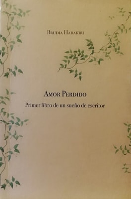 AMOR PERDIDO, Primer libro de un sueño de escritor