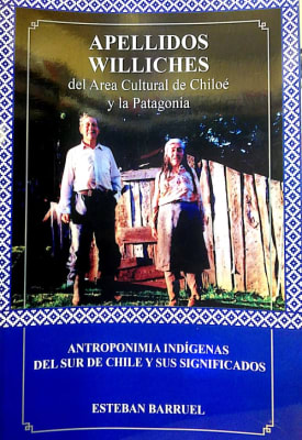 APELLIDOS WILLICHES