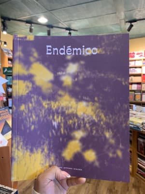 REVISTA ENDEMICO 11-DISEÑO SOSTENIBLE