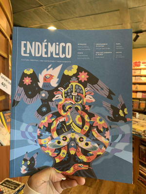 REVISTA ENDEMICO 10-DISEÑO SOSTENIBLE