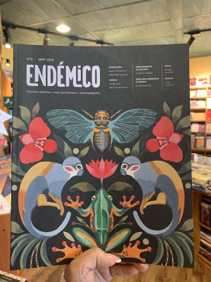 REVISTA ENDEMICO 3-DISEÑO SOSTENIBLE