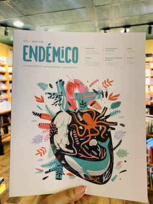 REVISTA ENDEMICO 2-DISEÑO SOSTENIBLE