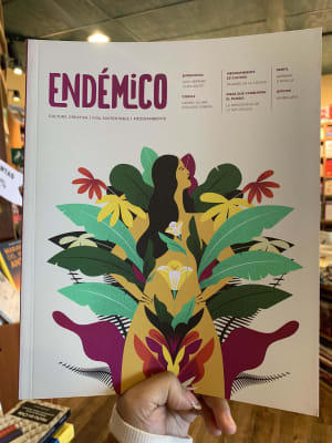 REVISTA ENDEMICO 6-DISEÑO SOSTENIBLE