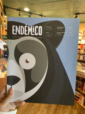 REVISTA ENDEMICO 8-DISEÑO SOSTENIBLE