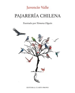 PAJARERIA CHILENA-CUARTO PROPIO