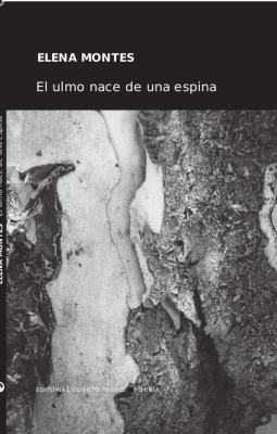 ULMO NACE DE UNA ESPINA,EL-CUARTO PROPIO PRODUCCIONES EMT