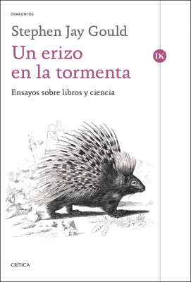 UN ERIZO EN LA TORMENTA - CRITICA1