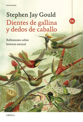 DIENTES DE GALLINA Y DEDOS DE CABALLO - CRITICA1