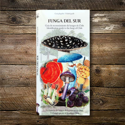 GUIA FUNGA DEL SUR-NATURALEZA INARRUMEN