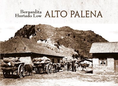 ALTO PALENA-REGIONALES