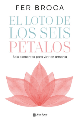 LOTO DE LOS SEIS PETALOS-AMBAR