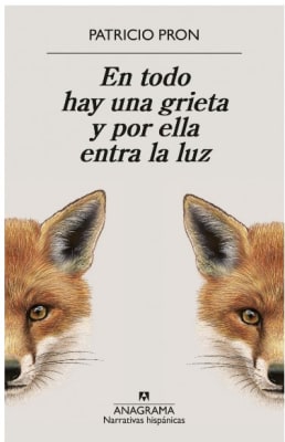 EN TODO HAY UNA GRIETA Y POR ELLA ENTRA LA LUZ-ANAGRAMA1