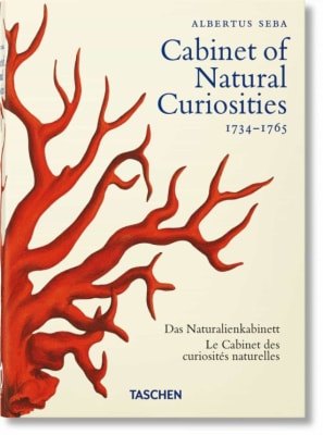 CABINET OF NATURAL CURIOSITIES 1734-1765 TD-TASCHEN CONTRAPUNTO