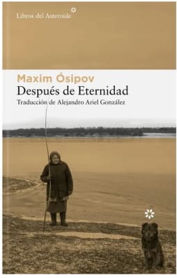 DESPUES DE ETERNIDAD - LIBROS DEL ASTEROIDE - CATALONIA
