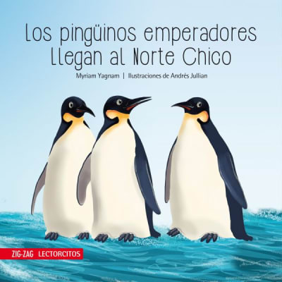 PINGUINOS EMPERADORES LLEGAN AL NORTE CHICO-LECTORCITOS-ZIG-ZAG