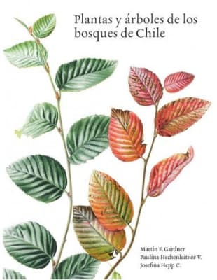 PLANTAS Y ARBOLES DE LOS BOSQUES DE CHILE TB