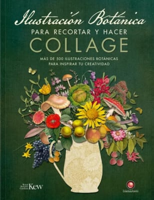 ILUSTRACION BOTANICA PARA RECORTAR Y HACER COLLAGE-CONTRAPUNTO1
