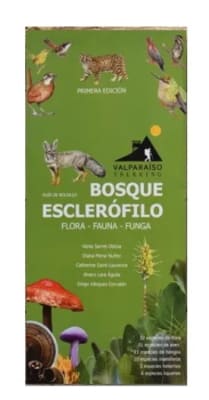 DESPLEGABLE BOSQUE ESCLEROFILO-VALPARAISO TREKKING